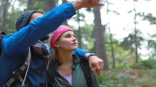 Couple Hiking and Exploring in a Forest