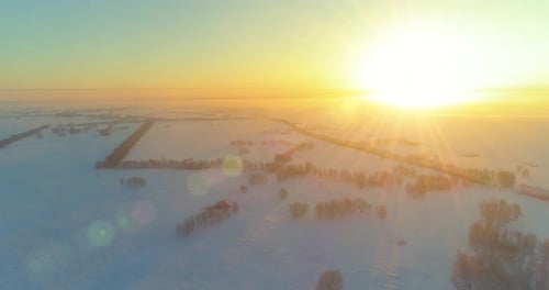 Aerial Drone View of Cold Winter Landscape with Arctic Field Trees Covered with Frost Snow and