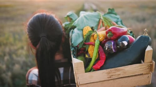 Person Carrying Fresh Vegetables in Wooden Crate