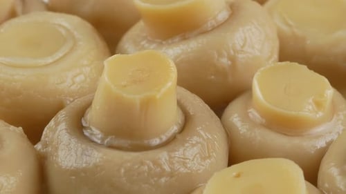 marinated champignons close up