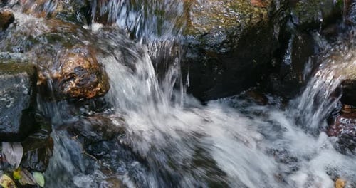 Cascade river in the forest