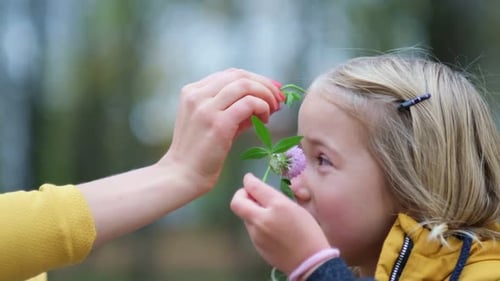 Child Holds Clover Flower While Adult Puts Flowers in Hair
