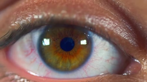 Extreme Close-Up of Human Eye