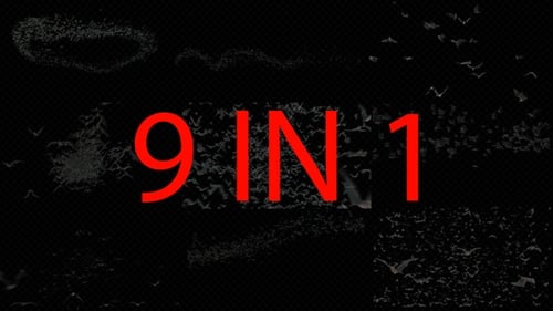 Creepy Bat Swarms Flying and Forming Shapes