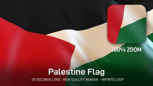 Realistic Waving Palestinian Flag Loop