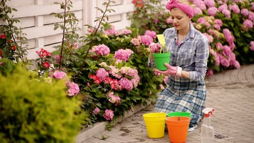Young Woman Is Smiling in Hydrangea Garden