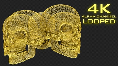 Gold Skull Structure 4K