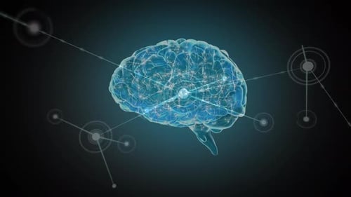 Digital brain with network