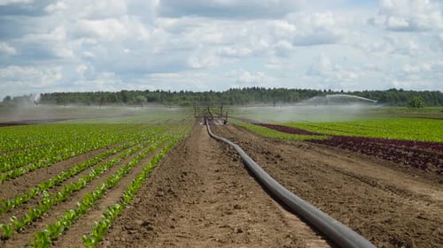 Irrigation System on Agricultural Land