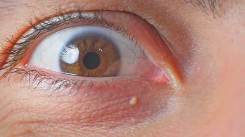 Macro View of an Eye Blinking