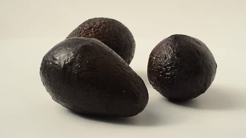 Avocado 11