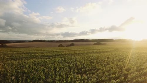 Paysage de champs verts sous un ciel ensoleillé et nuageux