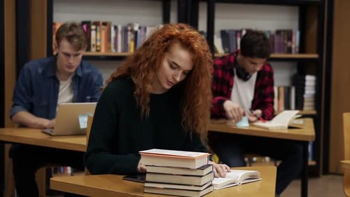 Students Studying Together in a Library