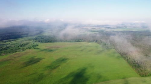 Lush Green Field and Forest Aerial View