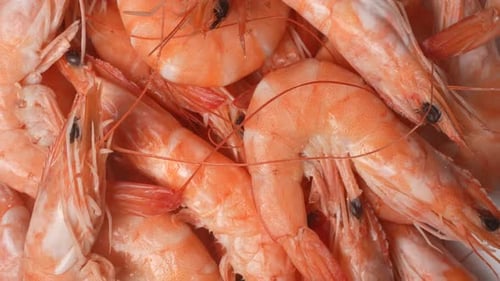 Close Up of Cooked Prawns Seafood Cuisine