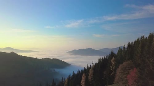 Flying in the Mountains Above the Morning Misty Forest