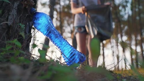 Anonymous Woman Collecting Litter In Forest