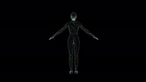 3D Seamless Loop Female Hologram Wireframe