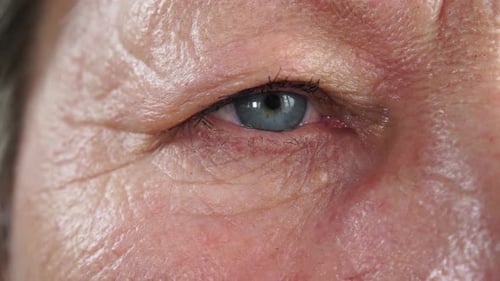 Macro Shot of an Eye