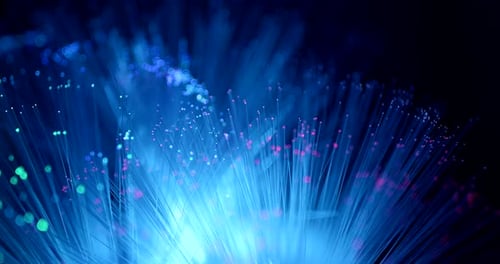 Close Up Fiber Optics Glowing Display