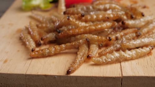 Chenille de bambou frite sur une assiette en bois. Les insectes sont des aliments riches en protéines.