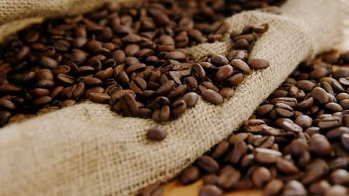Roasted Coffee Beans Spill from Burlap Bag