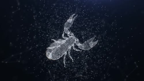 4K Plexus Skorpion