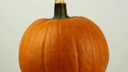 Halloween-Kürbis mit auf weißem Hintergrund dreht sich um 360. Nahaufnahme eines Orangenkürbises.