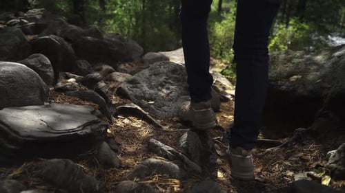 walk through the woods rear view of a walking man