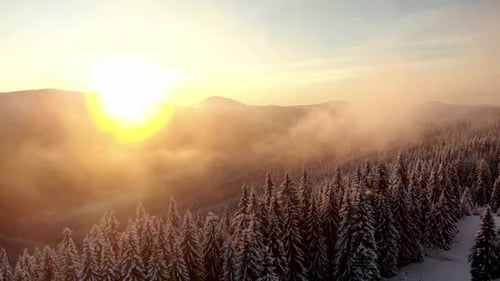 Drohne Aerial Spin um Winterwald bedeckt mit Wolken Mountain Valley