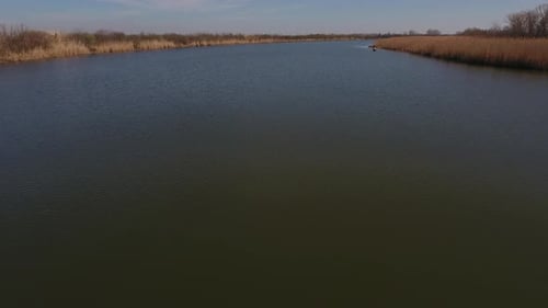 River And Reed Grass