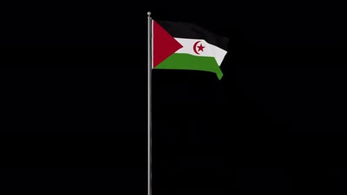 Realistic Western Sahara Flag Waving on Pole Animation