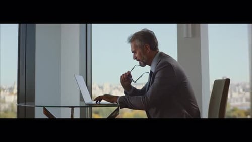 Adult Working at Laptop in Bright Office