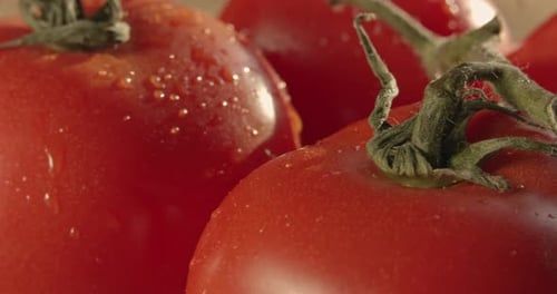 Gros plan de tomates cerises fraîches