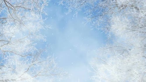Beautiful Winter Snowfall with Frosted Tree Branches Background Loop