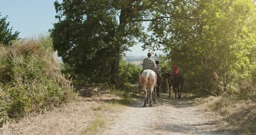 Vier aktive Menschen reiten Pferde auf einem sonnigen Wildwaldfeld im Freien.Freunde Italienreise in Umbrien