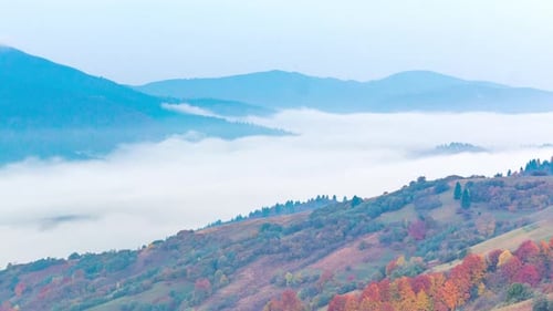 Morning Mist Over the Valley Among the Mountains in the Sunlight. Fog and Beautiful Nature of