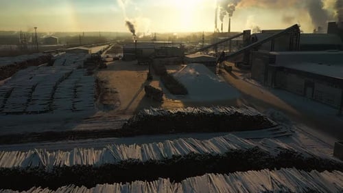 Verarbeitung von abgeholzten Wäldern in einem Industrieunternehmen