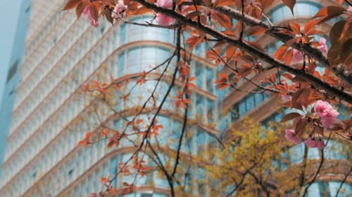 Modern Curved Building Framed by Orange Leaves