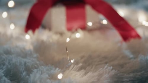 Shiny Present with Red Bow on Soft Blanket