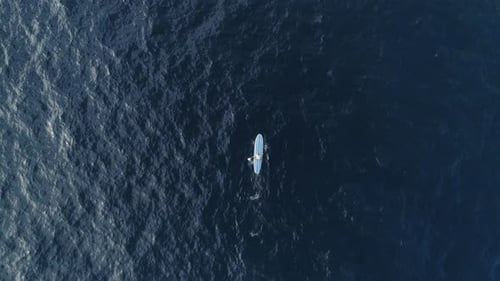 Stand Up Paddle Boarding Aerial View in Ocean