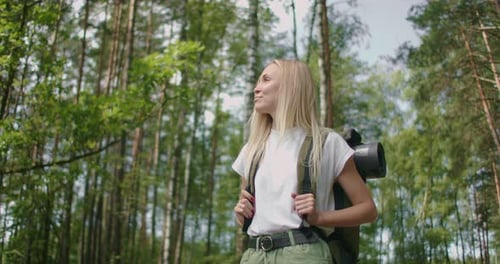 Kaukasische blonde Frau erkundet Lichtung mit Farnen im Wald. Wanderfrau im Regenwald spazieren