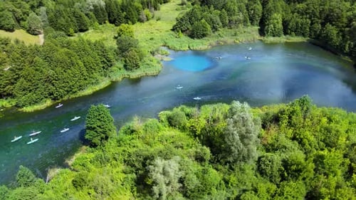 People on surfboard return to pier. Commercial rental of sup on a forest lake