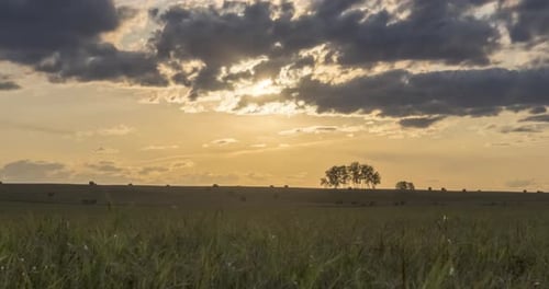 Flat Hill Meadow Timelapse at the Summer Sunset Time. Wild Nature and Rural Field. Sun Rays, Trees