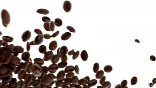Falling Coffee Beans on a White Background