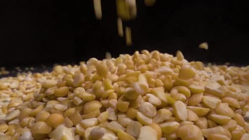 Yellow Split Peas Pouring in Close Up