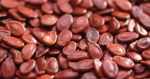 Red melon seed