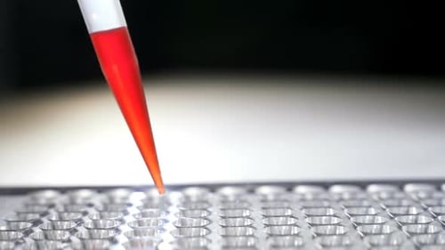 Dripping Blood Samples Into Test Tubes, Closeup
