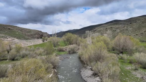 water stream river nature