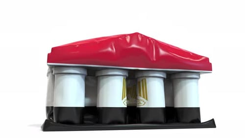 Deflating Bank or Government Building with Flag of Egypt